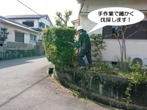 細かく伐採