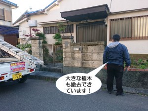 大きな植木も撤去できています