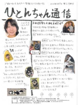 ひとんちゃん通信2020.5月号