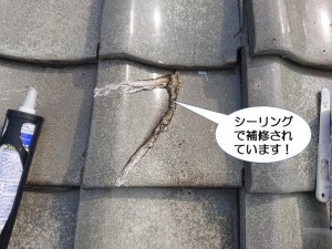 シーリングで補修されています