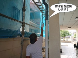 排水管を塗装します