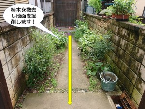 植木を撤去し地面を掘削