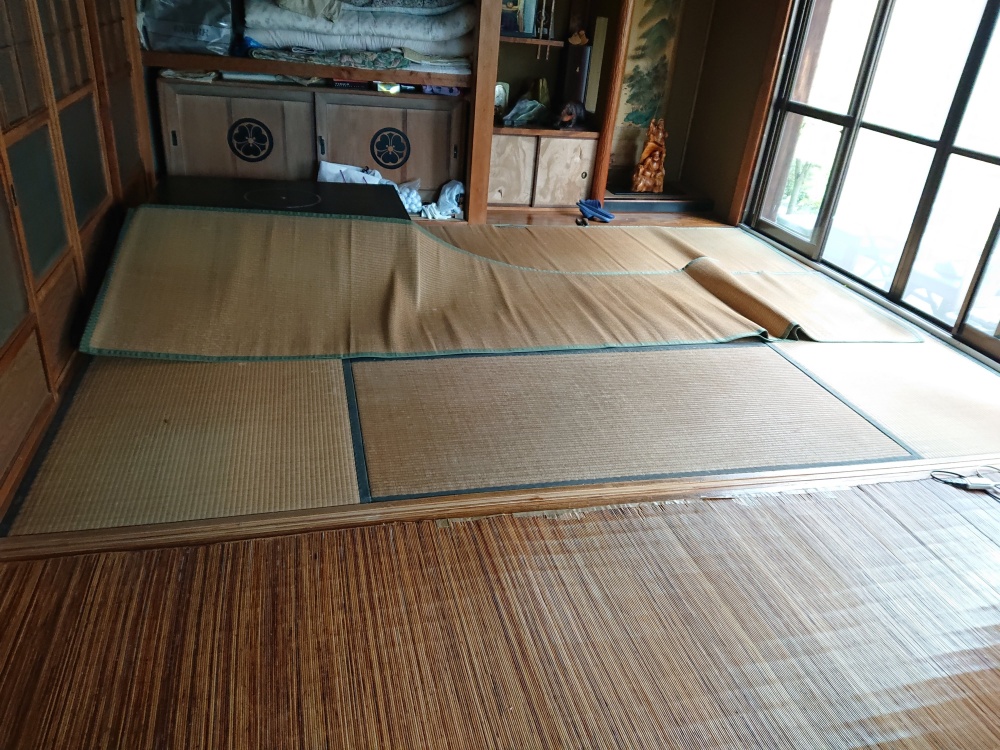畳の調査