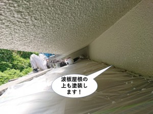 波板屋根の上も塗装