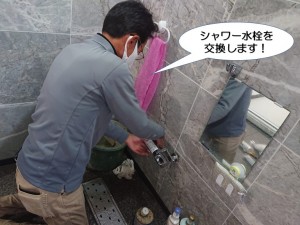 シャワー水栓を交換