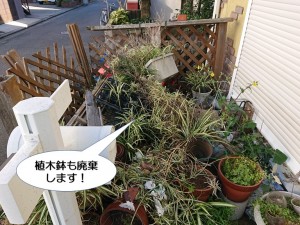 植木鉢も廃棄します