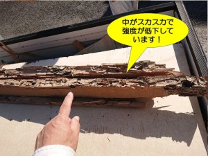 泉佐野市の土台の中がスカスカで強度が低下