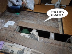 白蟻工事も行います