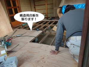 泉佐野市の床に構造用合板を張ります