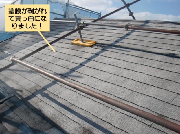 阪南市の屋根を洗浄すると真っ白になりました