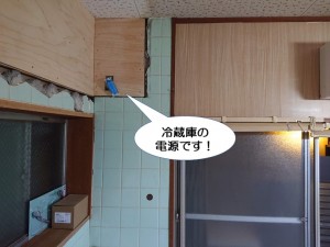 貝塚市の冷蔵庫の電源です