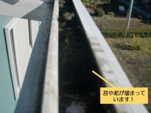 阪南市のテラスの雨樋に泥や苔が溜まっています