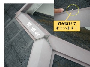 阪南市の棟板金の釘が抜けてきています