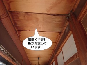泉佐野市で雨漏りで天井板が腐食！