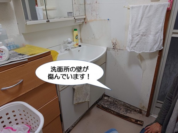 和泉市の洗面所の壁が傷んでいます
