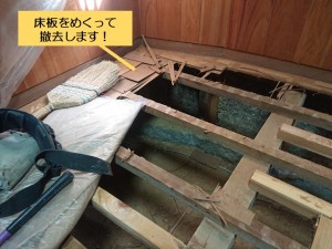 泉佐野市の床板をめくって撤去
