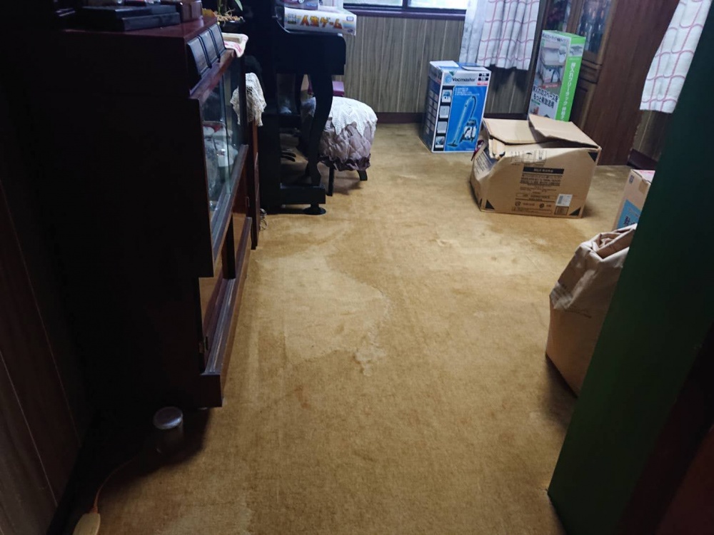 泉南市の洋室のカーペット敷きの床