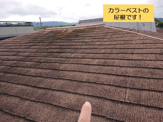和泉市でカラーベストの屋根の調査を行いました