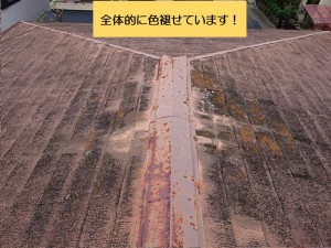 和泉市のカラーベストの屋根が全体的に色褪せています