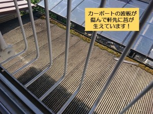 和泉市のカーポートの波板が傷んで苔が生えています
