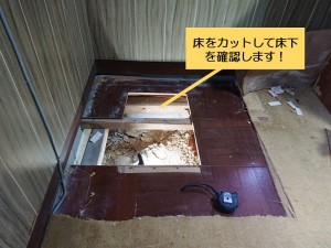 泉南市の床をカットして床下を確認