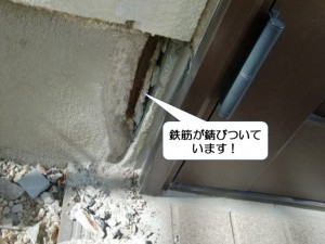 和泉市の基礎の鉄筋が錆びついています