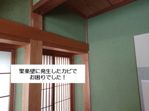 阪南市の和室の聚楽壁に発生したカビ