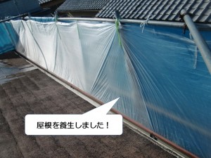 和泉市の屋根を養生しました