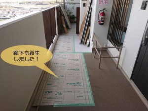 和泉市のマンションの廊下も養生しました