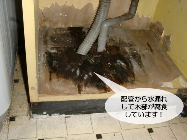 和泉市の洗面台の配管から水漏れして木部が腐食