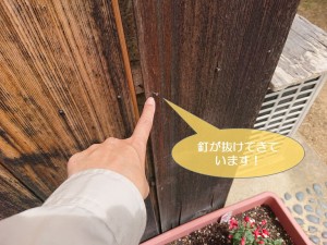 岸和田市の外壁の杉板を固定している釘が抜けてきています