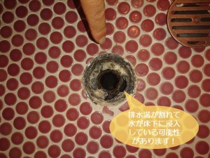 岸和田市のお風呂の排水溝が割れて水が床下に浸入している可能性があります