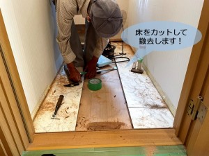 岸和田市のトイレの床をカットして撤去します