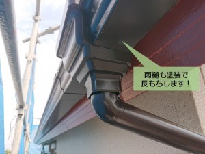阪南市の雨樋も塗装で長もちします