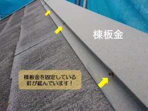 阪南市の棟板金を固定している釘の緩み