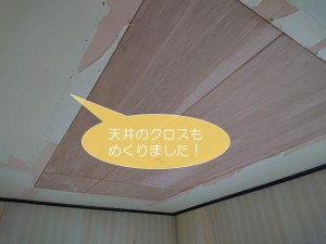 和泉市の洋室の天井もめくりました
