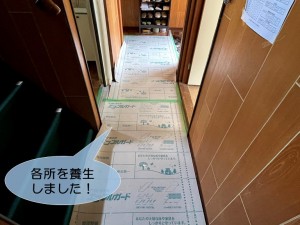 和泉市の各所を養生