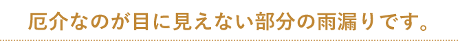 厄介なのが目に見えない部分の雨漏りです。