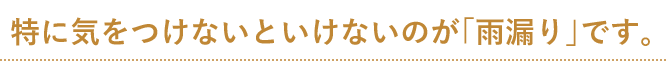 特に気をつけないといけないのが「雨漏り」です。