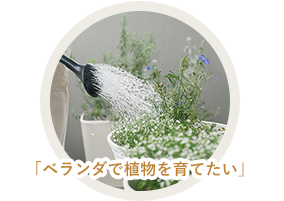 「ベランダで植物を育てたい」