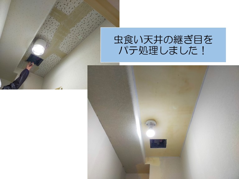 貝塚市のトイレの虫食い天井