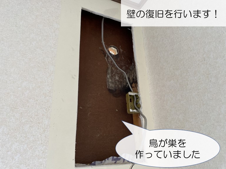 忠岡町で鳥の巣を撤去・消毒し壁を復旧していきます