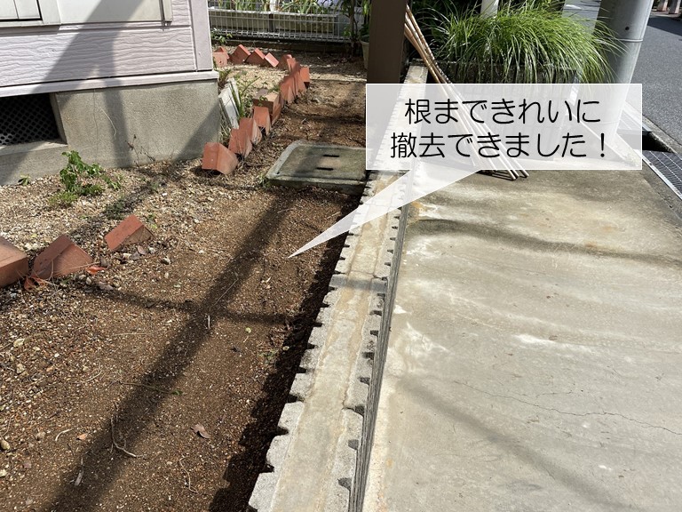 熊取町の植木の根まで取り除けました
