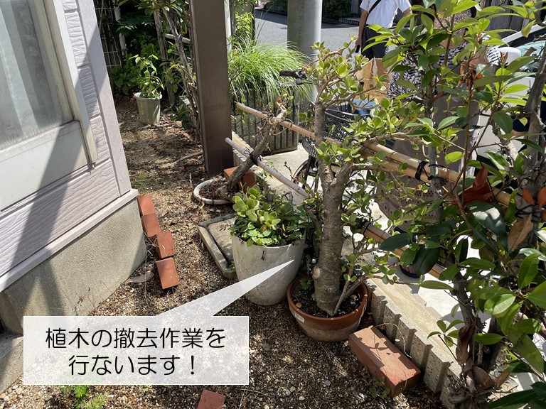熊取町の庭の植木撤去作業